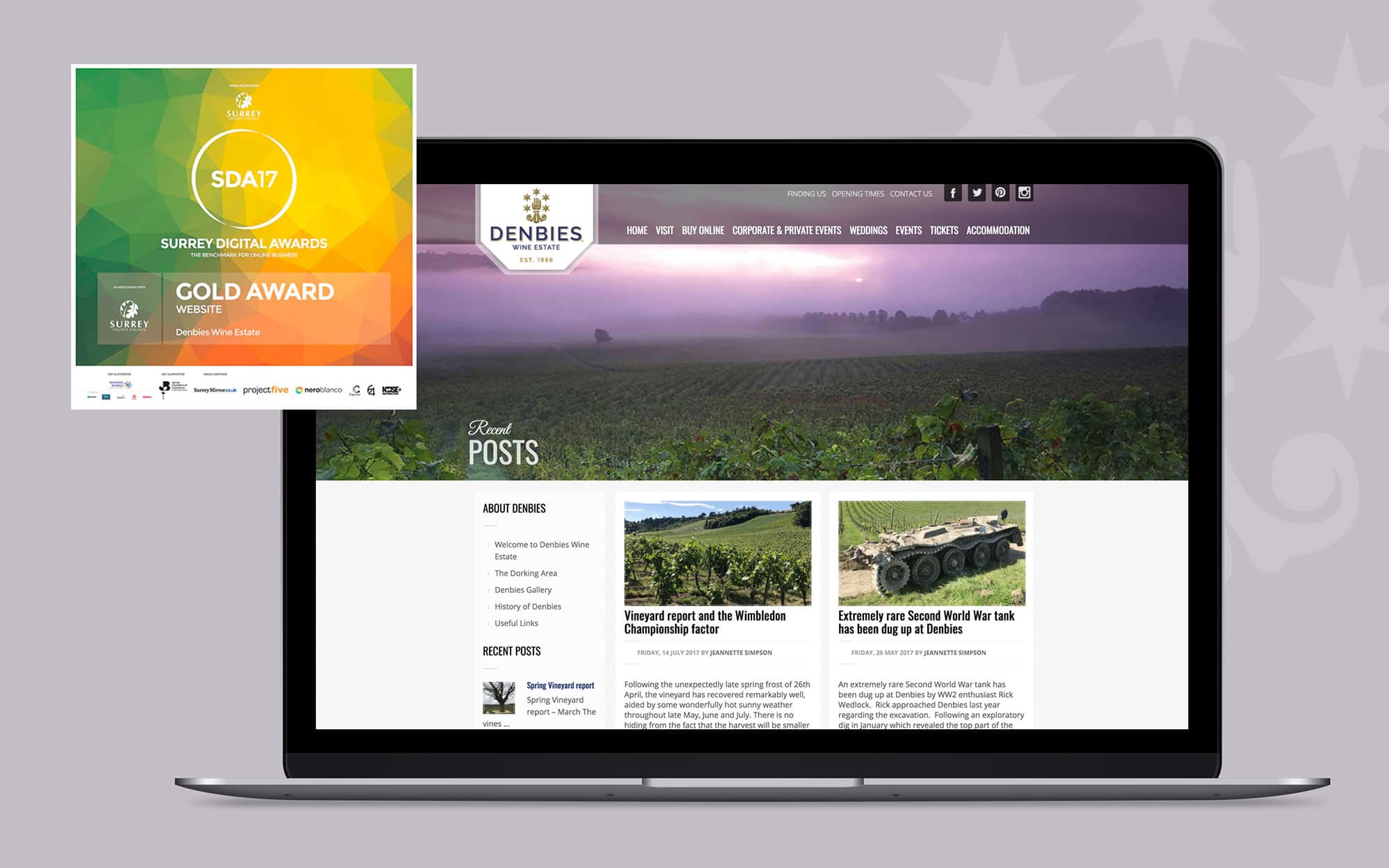 denbies-award-winning-logo-website-design